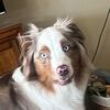 allie112048